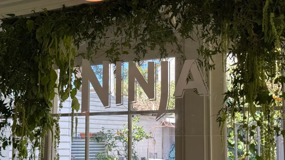Ninja