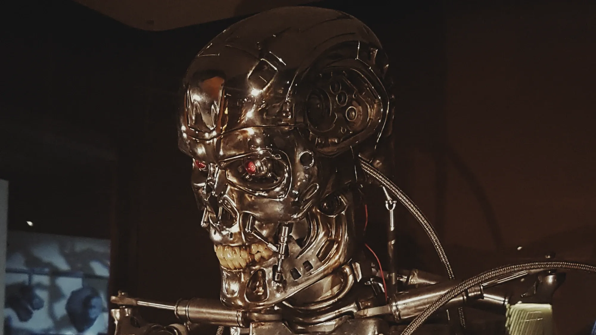 A photo of the t100 exoskeleton from the Terminator movies I saw at the Museum of Pop Culture in Seattle a few years back.