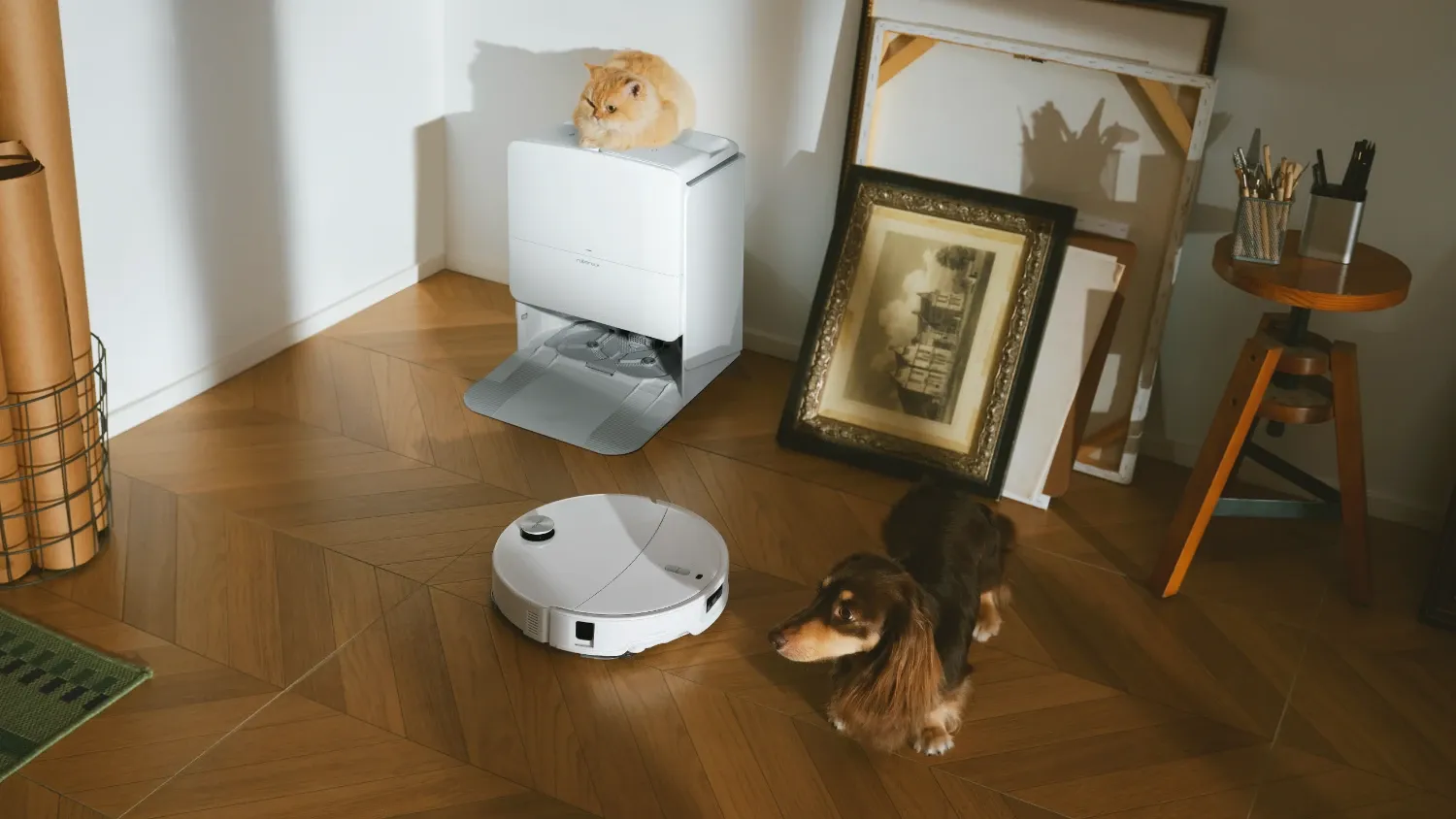 The Roborock Qrevo Edge 2 Pro in a home with a cat on top of the dock and a dog near the vacuum