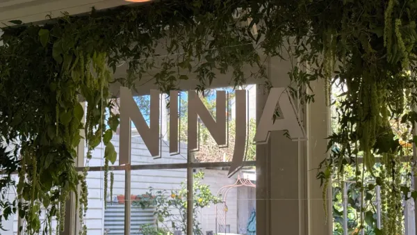 Ninja